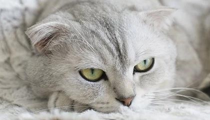 武威伴游,定制QQ:3494206190微信:act1322