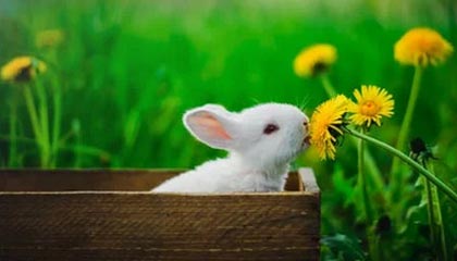 武威伴游，定制QQ：3494206190微信：act1322